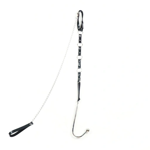 Leash with 5853 Kinky and Anal EverydayUse Collar Hook 0131